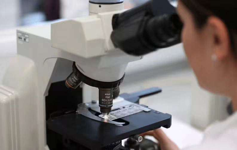 Global decline in male fertility sparks need for action