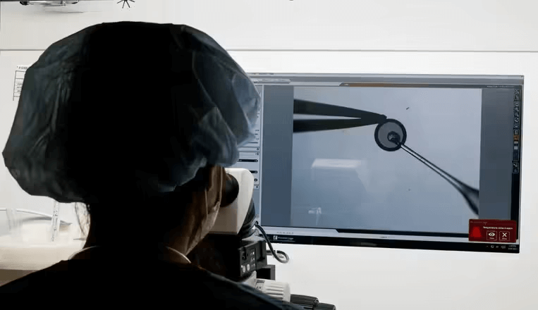 Surging number of women freezing eggs in UAE amid law reforms and changing attitudes