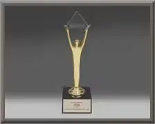 Gold Stevie Award 2023 for Breast Cancer Awareness